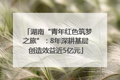 湖南“青年红色筑梦之旅”：8年深耕基层创造效益近5亿元