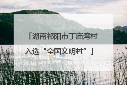 湖南祁阳市丁庙湾村入选“全国文明村”