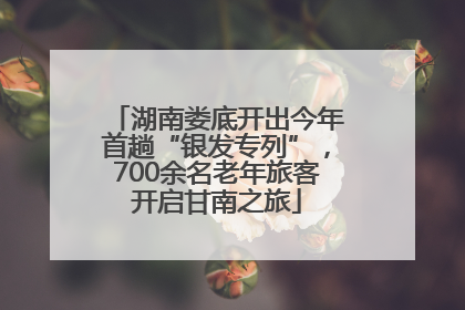 湖南娄底开出今年首趟“银发专列”，700余名老年旅客开启甘南之旅