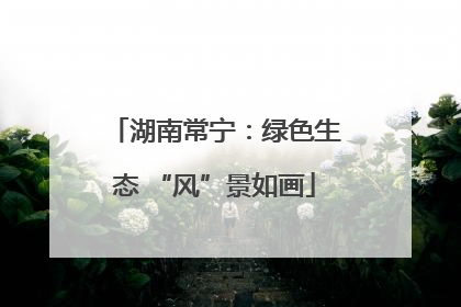 湖南常宁：绿色生态 “风”景如画