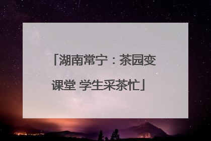 湖南常宁：茶园变课堂 学生采茶忙