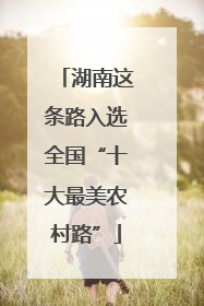 湖南这条路入选全国“十大最美农村路”
