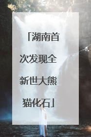湖南首次发现全新世大熊猫化石