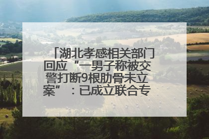 湖北孝感相关部门回应“一男子称被交警打断9根肋骨未立案”：已成立联合专班开展工作