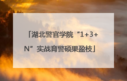 湖北警官学院“1+3+N”实战育警硕果盈枝