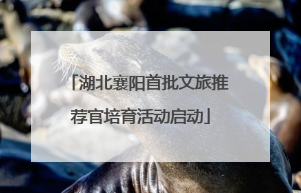 湖北襄阳首批文旅推荐官培育活动启动
