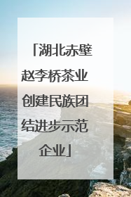 湖北赤壁赵李桥茶业创建民族团结进步示范企业