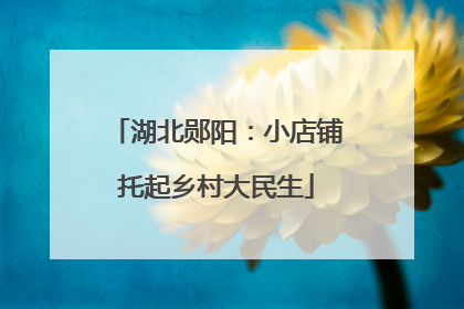湖北郧阳：小店铺托起乡村大民生