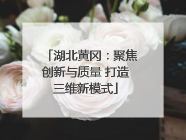 湖北黄冈：聚焦创新与质量 打造三维新模式