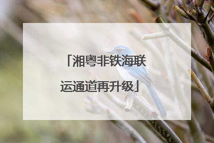 湘粤非铁海联运通道再升级