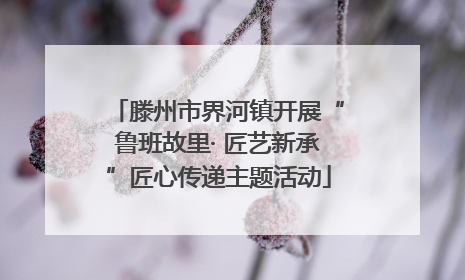 滕州市界河镇开展“鲁班故里· 匠艺新承”匠心传递主题活动