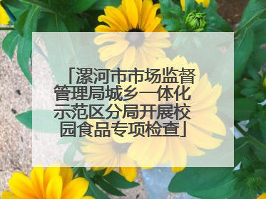 漯河市市场监督管理局城乡一体化示范区分局开展校园食品专项检查