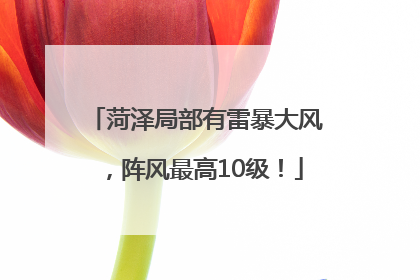 菏泽局部有雷暴大风，阵风最高10级！
