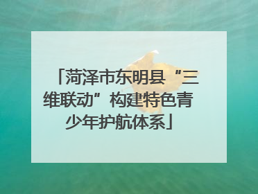 菏泽市东明县“三维联动”构建特色青少年护航体系