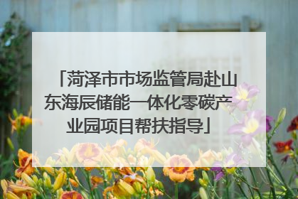 菏泽市市场监管局赴山东海辰储能一体化零碳产业园项目帮扶指导