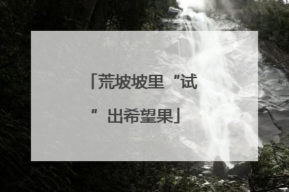 荒坡坡里“试”出希望果