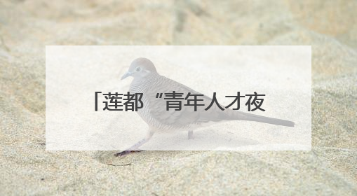 莲都“青年人才夜市”开摊 “盒子小店”为创业者兜底