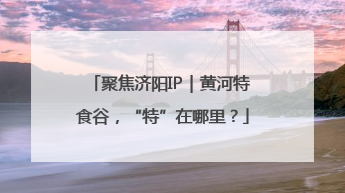 聚焦济阳IP｜黄河特食谷，“特”在哪里？