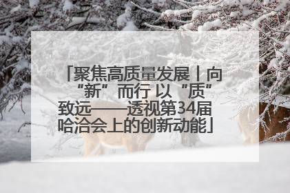 聚焦高质量发展丨向“新”而行 以“质”致远——透视第34届哈洽会上的创新动能