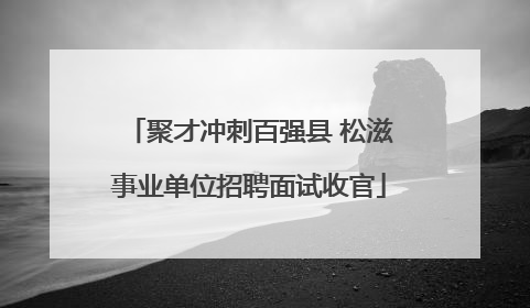 聚才冲刺百强县 松滋事业单位招聘面试收官