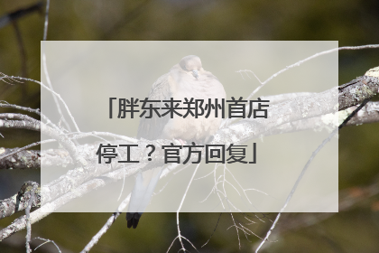 胖东来郑州首店停工？官方回复