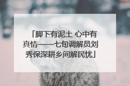 脚下有泥土 心中有真情——七旬调解员刘秀保深耕乡间解民忧