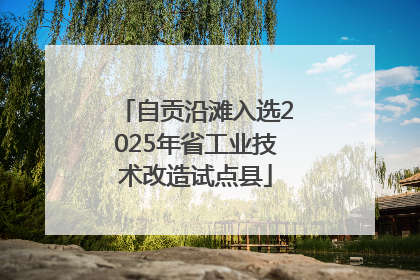 自贡沿滩入选2025年省工业技术改造试点县
