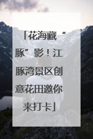 花海藏“豚”影！江豚湾景区创意花田邀你来打卡