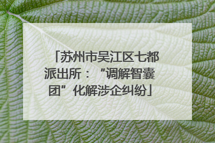 苏州市吴江区七都派出所：“调解智囊团”化解涉企纠纷