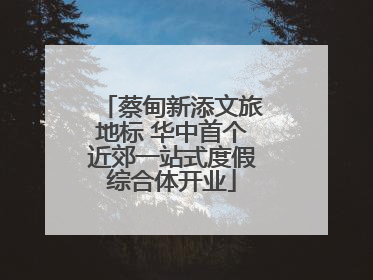 蔡甸新添文旅地标 华中首个近郊一站式度假综合体开业