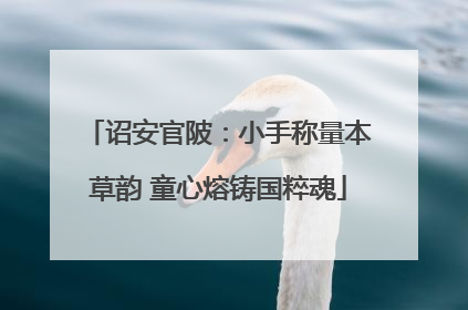 诏安官陂：小手称量本草韵 童心熔铸国粹魂