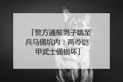 警方通报男子跳至兵马俑坑内：两尊铠甲武士俑损坏