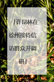许昆林在徐州接待信访群众并调研