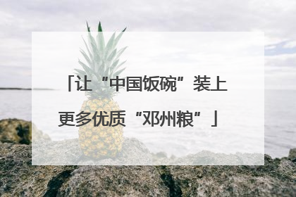 让“中国饭碗”装上更多优质“邓州粮”