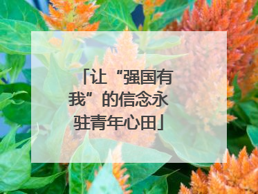 让“强国有我”的信念永驻青年心田