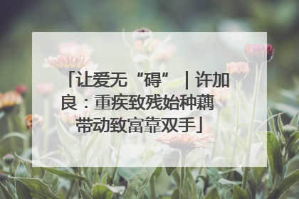 让爱无“碍”｜许加良：重疾致残始种藕 带动致富靠双手