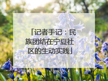 记者手记：民族团结在宁夏社区的生动实践