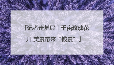 记者走基层｜千亩玫瑰花开 美景带来“钱景”