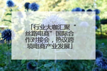 行业大咖汇聚“丝路电商”国际合作对接会，热议跨境电商产业发展