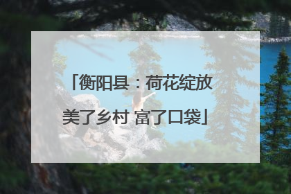 衡阳县：荷花绽放 美了乡村 富了口袋