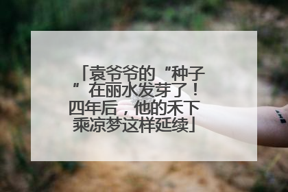 袁爷爷的“种子”在丽水发芽了！四年后，他的禾下乘凉梦这样延续