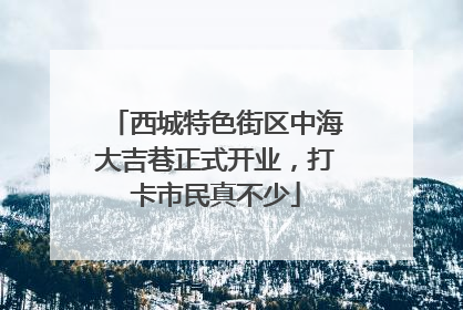 西城特色街区中海大吉巷正式开业，打卡市民真不少
