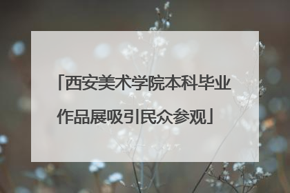 西安美术学院本科毕业作品展吸引民众参观