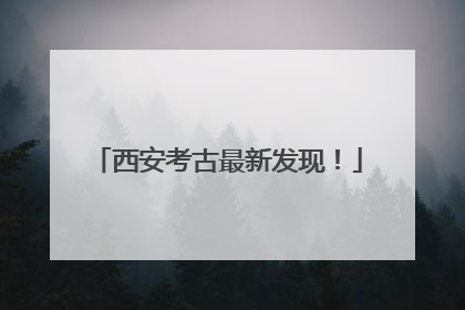 西安考古最新发现！