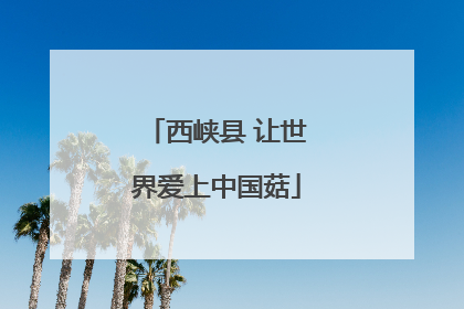 西峡县 让世界爱上中国菇