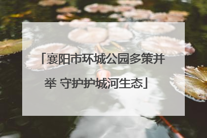 襄阳市环城公园多策并举 守护护城河生态