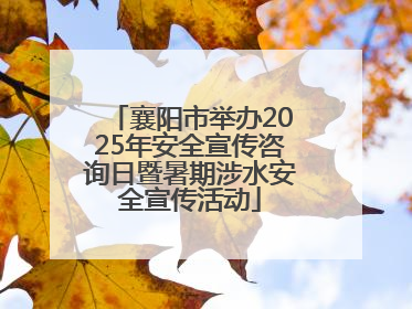 襄阳市举办2025年安全宣传咨询日暨暑期涉水安全宣传活动
