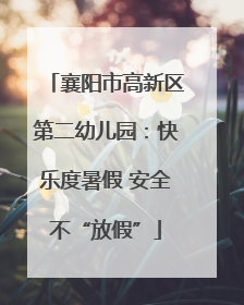 襄阳市高新区第二幼儿园：快乐度暑假 安全不“放假”