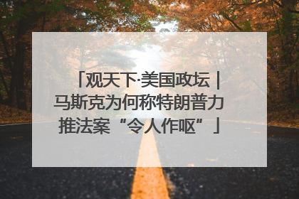 观天下·美国政坛｜马斯克为何称特朗普力推法案“令人作呕”