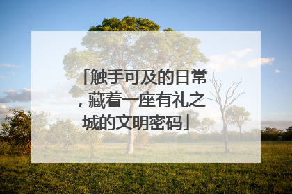 触手可及的日常，藏着一座有礼之城的文明密码